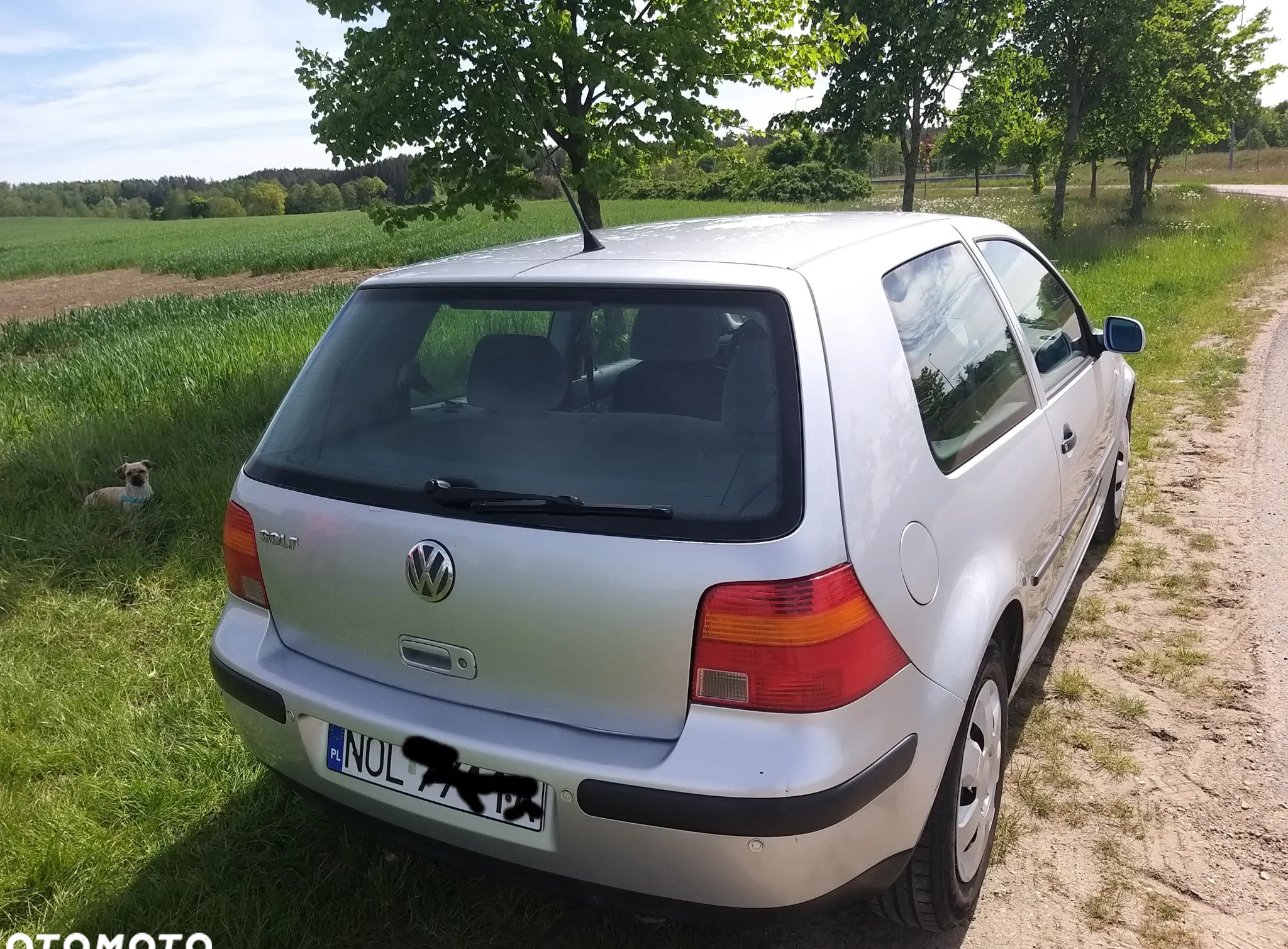 Volkswagen Golf cena 6200 przebieg: 164000, rok produkcji 2000 z Rymanów małe 137